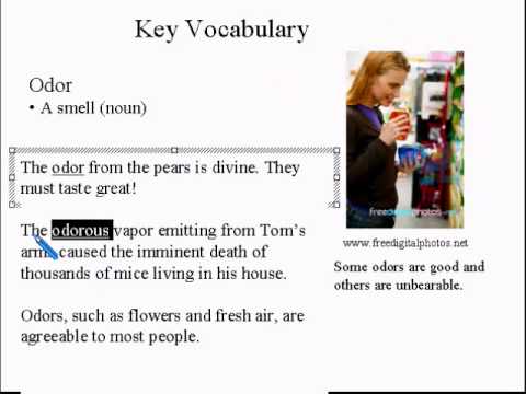 Advanced Learning English Lesson 8 - Personal Hygiene - Vocabulary and Pronunciation
