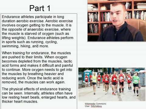 Advanced Listening English Practice 20: Endurance Athletes