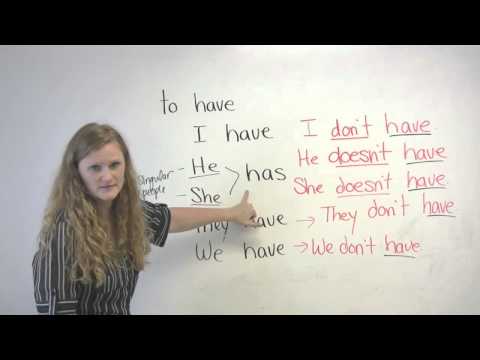 Basic English Grammar - Have, Has, Had