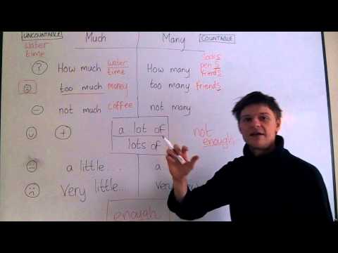 Elementary English. Lesson 9. Much and many. Few and little