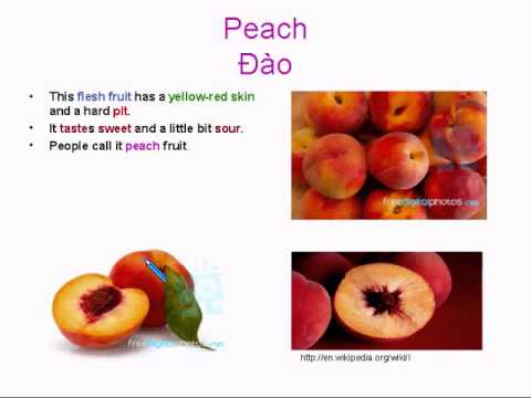 Learning Basic English Lesson 12: 5 Words per day with Teacher PHil #2 (Fruits)