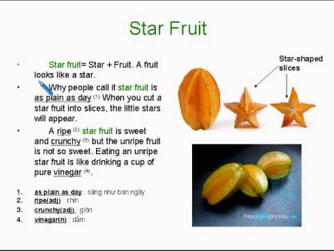 Learning Basic English Lesson 16: Milk Fruit, Rambutan, Durian, Star Fruit