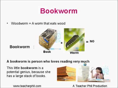 Learning Basic English Lesson 18: Restroom, bookworm, copyright, butterfly