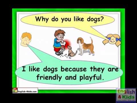 English for Kids,ESL Kids Lessons - Pets , dogs, cat, hamster, parrot.flv