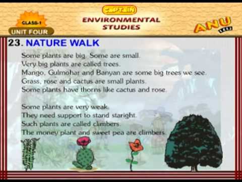 Nature Walk - EVS Chapter 23
