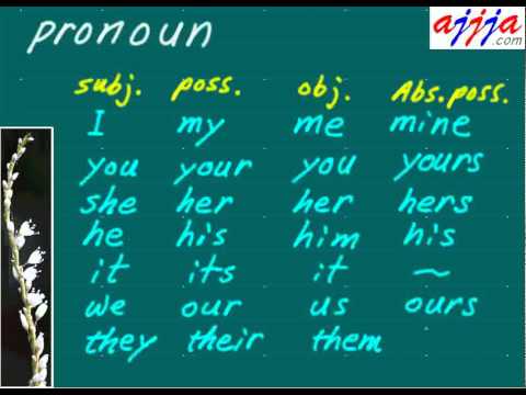English Grammar - Pronoun 1