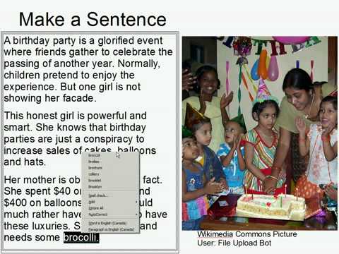 Make A Sentence Double Trouble 16: Birthday Party