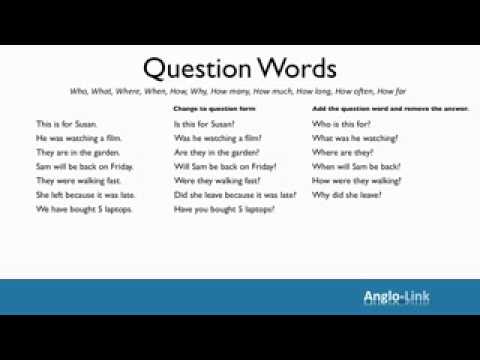 Questions   Learn English Grammar