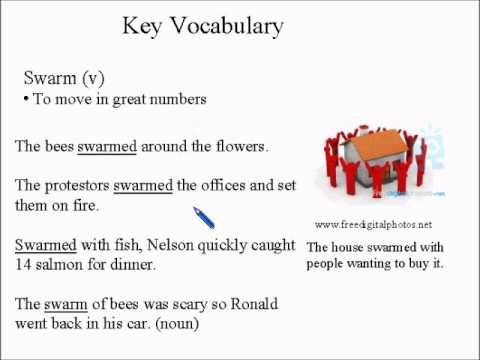 Intermediate Learning English Lesson 16 - Sleep with one eye open  - Vocabulary and Pronunciation
