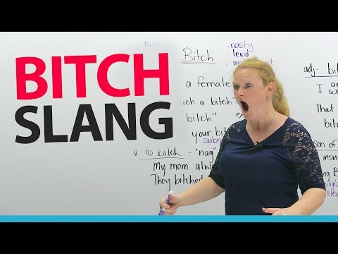 Learn English Slang: BITCH