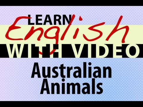 Learn English with Video - Australian Animals