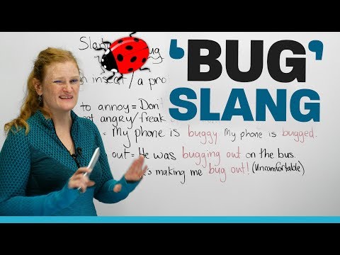 SLANGwords using 'bug' in English