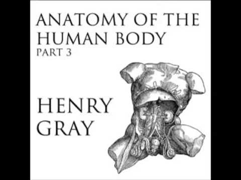 Anatomy of the Human Body (FULL Audiobook) - part (21 of 39)