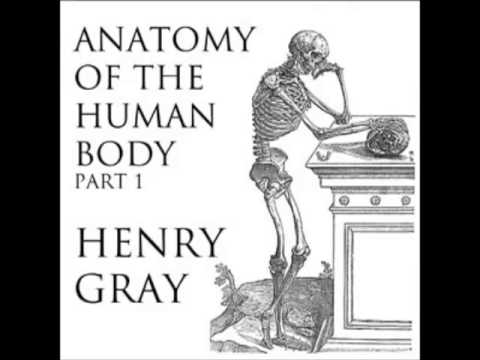 Anatomy of the Human Body (FULL Audiobook) - part (3 of 39)