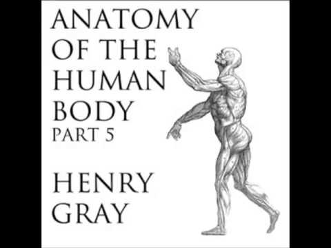 Anatomy of the Human Body (FULL Audiobook) - part (39 of 39)