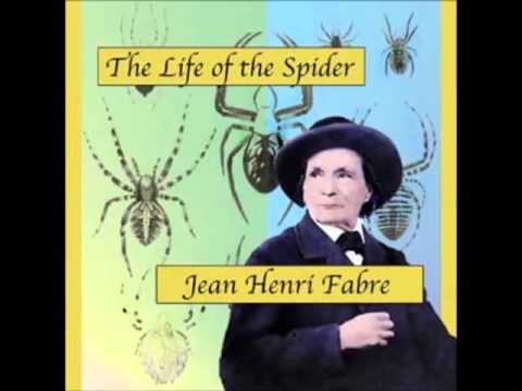 Life of the Spider (FULL Audiobook) - part 1
