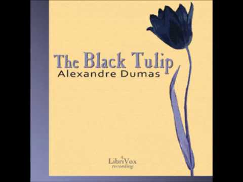 The Black Tulip (FULL Audiobook) by Alexandre Dumas - part 2