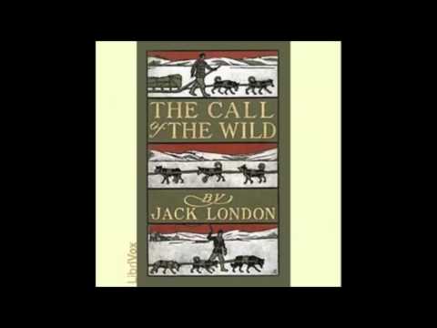 The Call of the Wild - audiobook - part 1