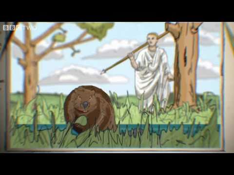 A History of Britain's Beavers - The Animal's Guide To Britain, Episode 1 Preview - BBC Two