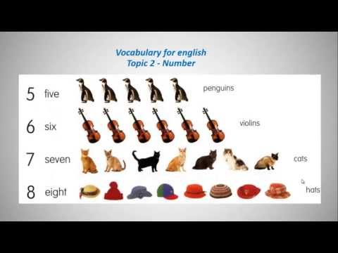 Vocabulary for English - Topic 2 Numbers!