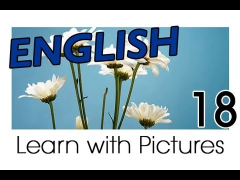 Learn English - English Plants Vocabulary