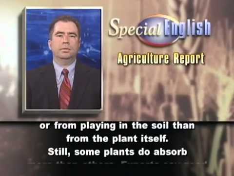 VOA Learning English - Agriculture Report # 3921