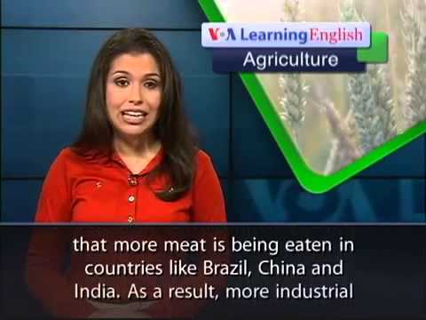 VOA Learning English on 02-July-2013,Practicing Climate Friendly Agriculture