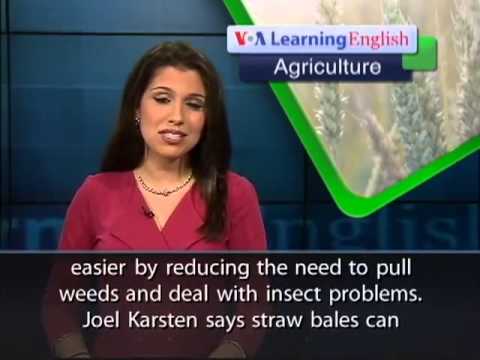 VOA Learning English on 04 Jun 2013,Straw Bale Gardening  Advice for Beginners
