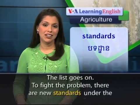 VOA Learning English on 07-June-2013,The Risk From Imported Pests