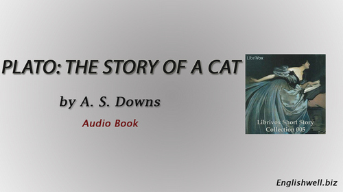 Plato: The Story of a Cat by A. S. Downs