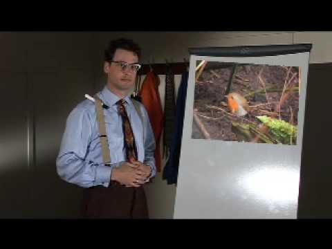 Bird Idioms - BBC Learning English (The Teacher)