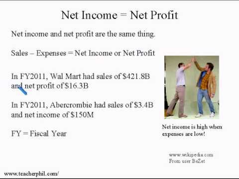 Business and Finance Lesson 3: Net Profit Margin, Fiscal Year (Learn English)