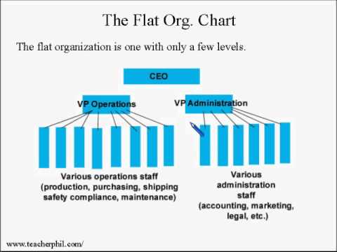 Business and Finance Lesson 7: Organizational Chart, Tall or Flat? (Learn English)