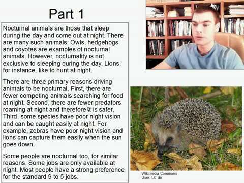 Advanced Listening English Practice 13: Why are animals nocturnal?