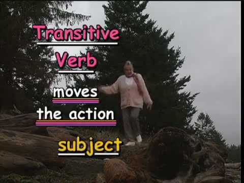 Basic English Grammar Lesson-11, (Transitive-Intransitive-Copula)