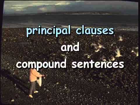 Basic English Grammar Lesson-23, (Principal Clause, Compound Sentence)