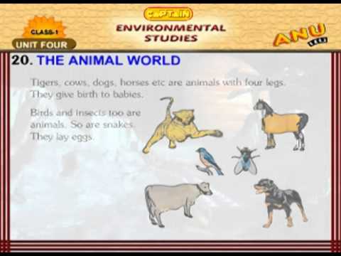 EVS Chapter 20   The Animal World For Kids