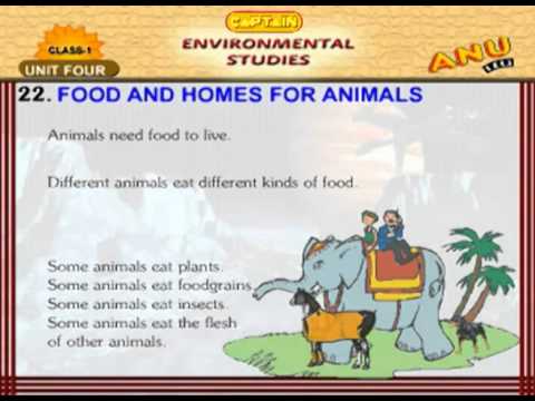EVS Chapter 22   Food And Homes For Animals For Kids