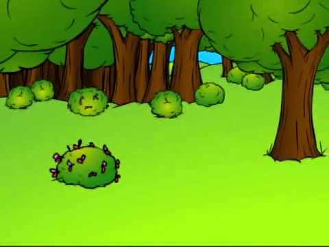 Animals & Objects pt 6  English Grammar Cartoon for Children by Pumkin com   What who is it