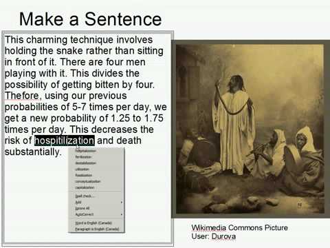Make A Sentence Double Trouble 34: Playing with Snakes
