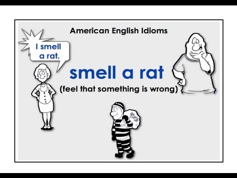 American English Idioms. Easy English Conversation Practice.