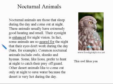 Intermediate Learning English Lesson 14 - Sleep  - Vocabulary and Pronunciation