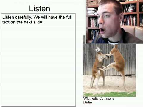 Intermediate Listening English Practice 1: Kangaroo Analysis