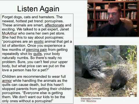 Intermediate Listening English Practice 14: The Newest Pet Trend: Porcupines