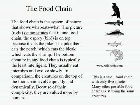 Live Intermediate English Lesson 21: The Food Chain: Introduction