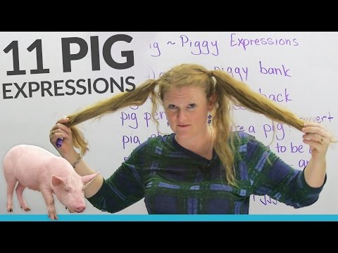 11 PIG expressions in English: 'pig out', 'pig tails', 'piggy back'...