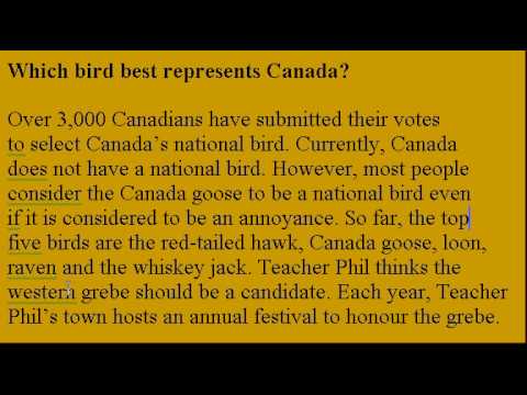 Accent Reduction Learn English Lesson #25 Canada Bird!