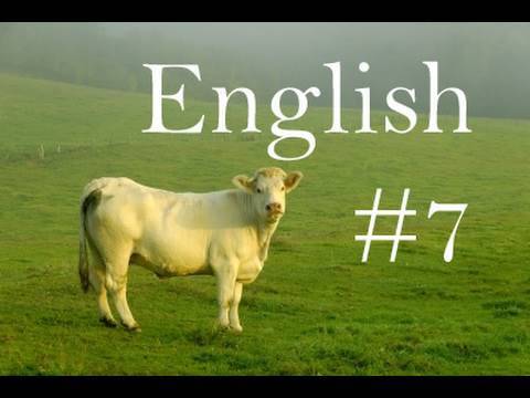 Learn Easy English Lesson #7 (American Accent) On the Farm!