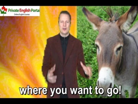 Learn English with Steve Ford- Peppy 21(Head Idioms)