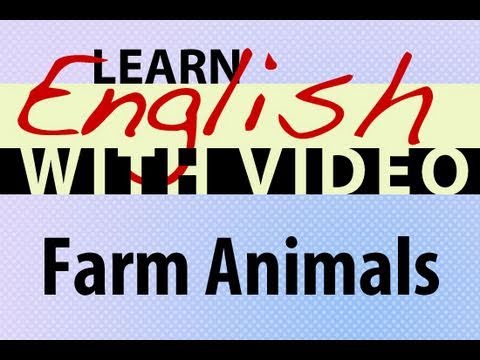 Learn English with Video - Farm Animals
